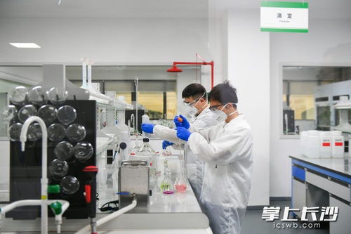長沙向新而行，為質而奔 環保材料研發引領綠色未來
