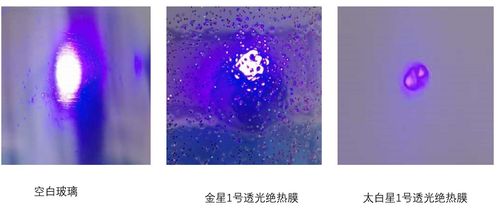 華豹新材料亮相2020中國綠色涂料涂裝交流合作大會